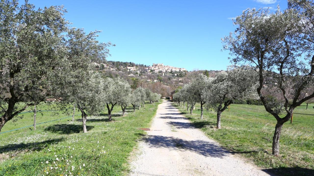 Bed and Breakfast Domaine De Sainte Annette Callian  Esterno foto