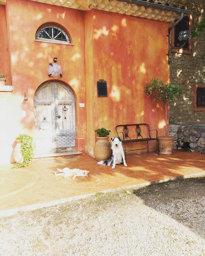 Bed and Breakfast Domaine De Sainte Annette Callian  Esterno foto